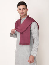 Load image into Gallery viewer, Purple color unisex winter stole